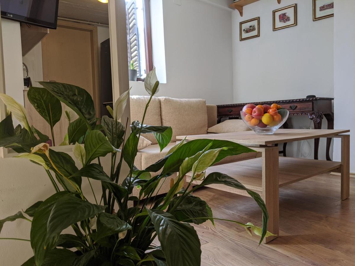Twin-Magnolias Condo With Garden, Parking & Ev Station Zagreb Eksteriør bilde