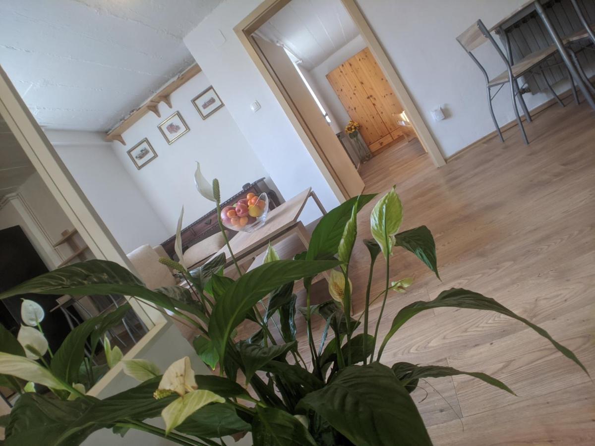 Twin-Magnolias Condo With Garden, Parking & Ev Station Zagreb Eksteriør bilde